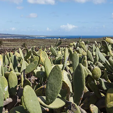 Hubara Retreat * Чарко-дель-Пало
